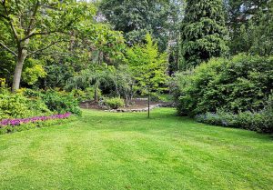 Optimiser l'expérience du jardin à Saint-Sernin-du-Bois